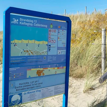 In Netherlands Near The Apartment *